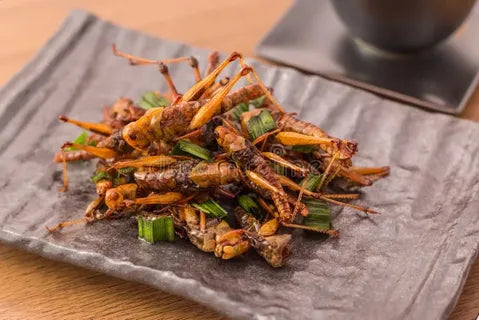 Nsenene (Grilled Grasshoppers)