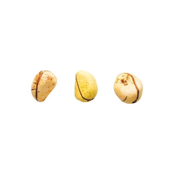 White Kola Nuts Fresh Dryfruits(100g)