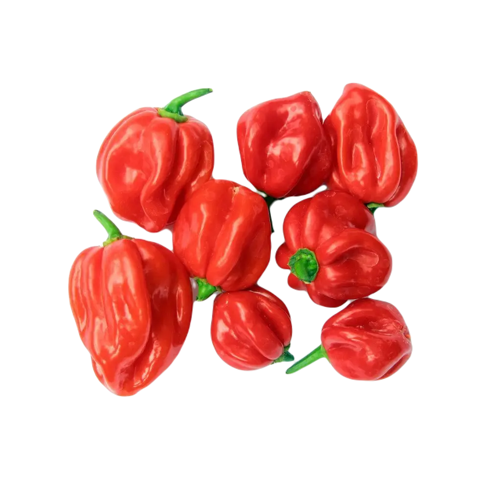 Fresho Capsicum Red Loose(1kg)
