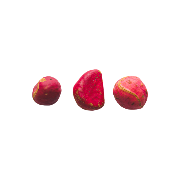 Red Kola Nuts Fresh Dryfruits(100g)